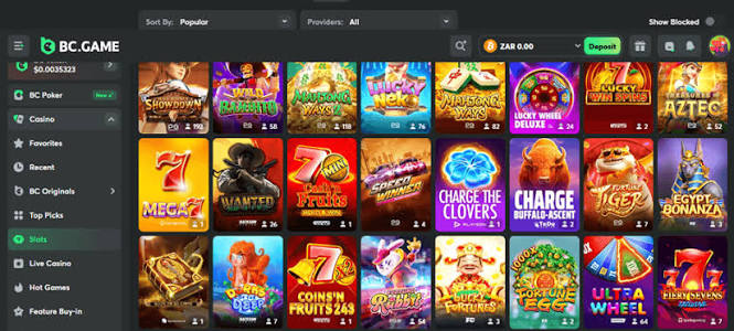 Experience Gaming Innovation with BC.Game App